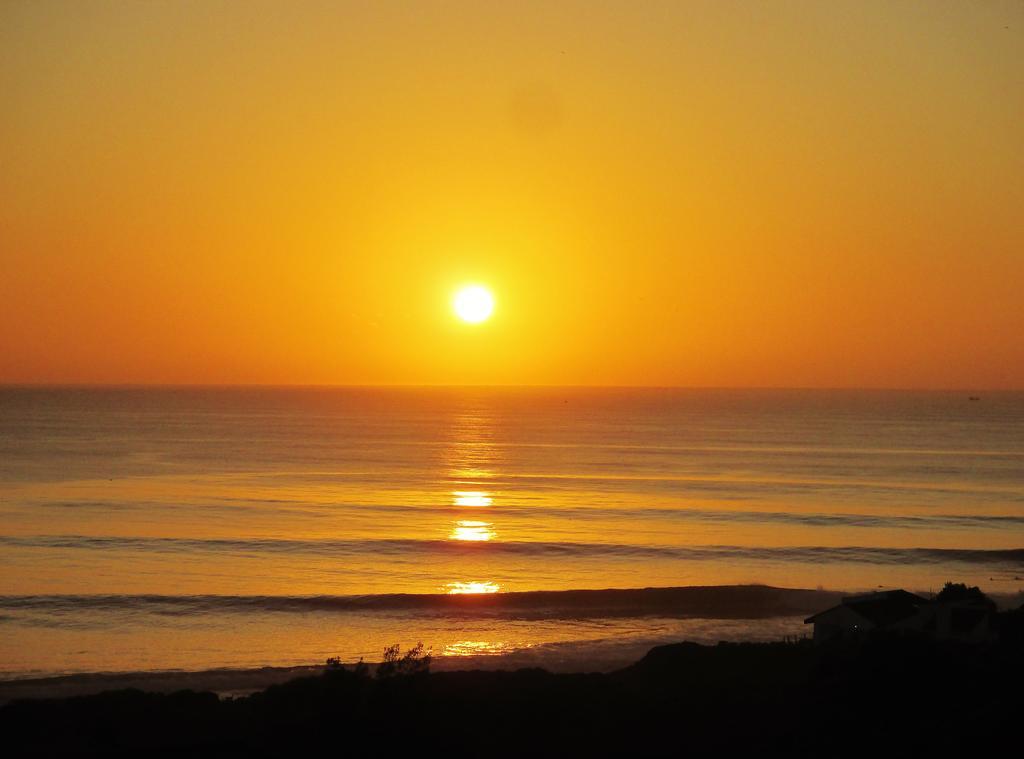 Starfish Surf House Villa Jeffreys Bay Rum bild