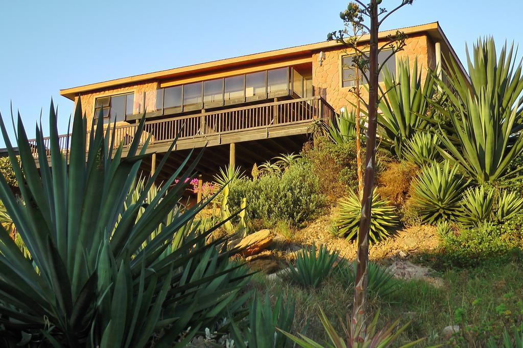 Starfish Surf House Villa Jeffreys Bay Rum bild